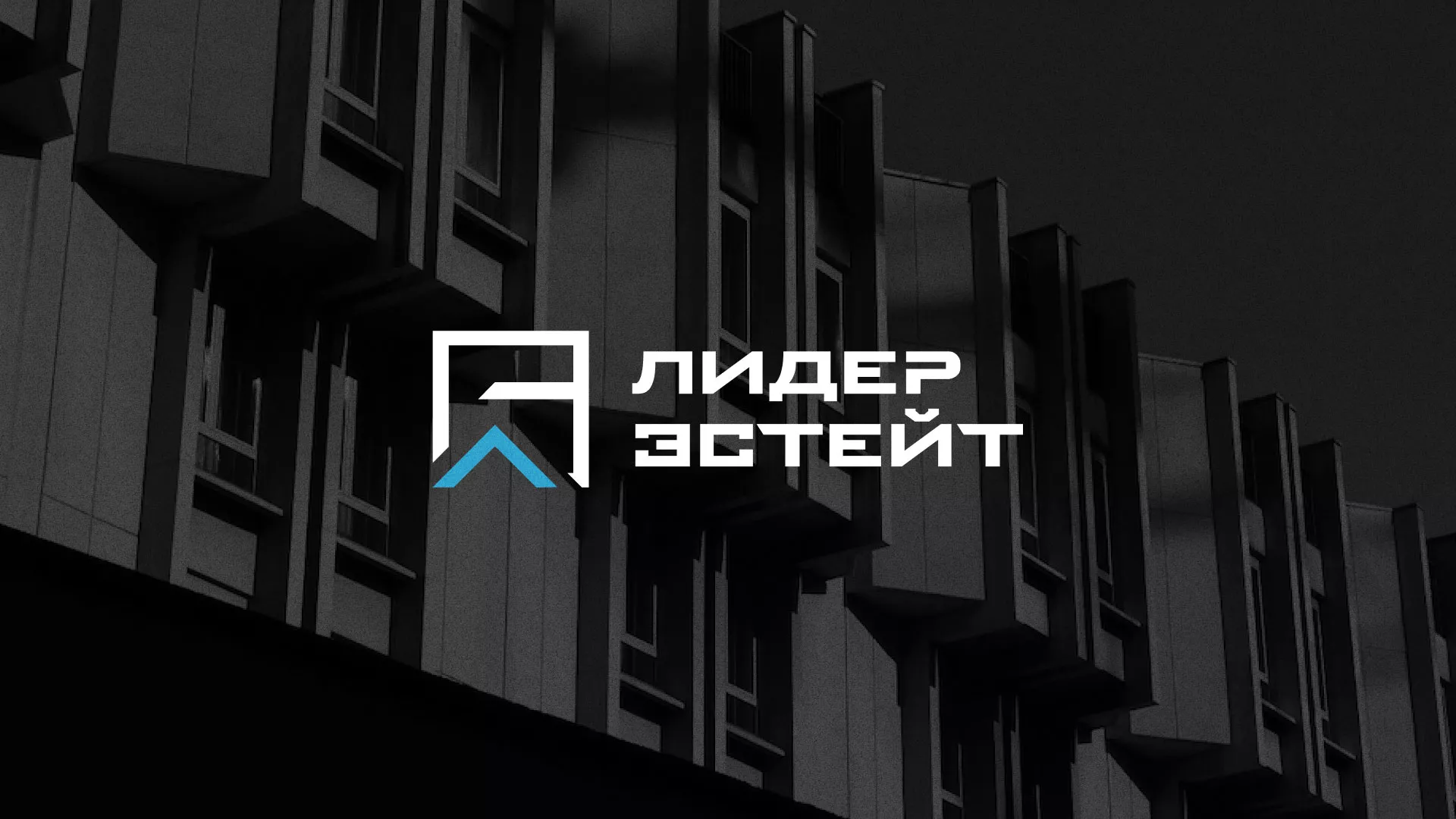 Разработка логотипа агентства недвижимости «Лидер Эстейт» в Алагире